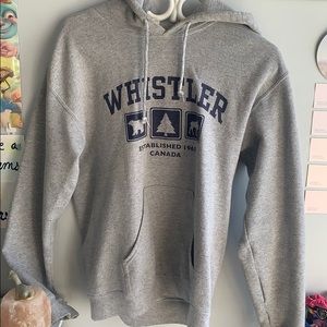 grey whistler hoodie